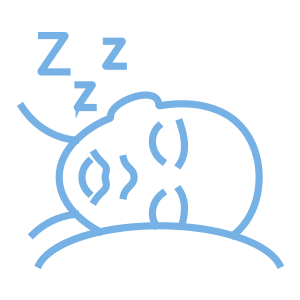 いびき治療<br>睡眠時無呼吸症候群